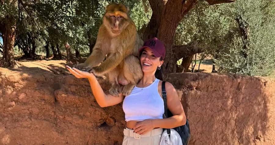 Ouzoud Waterfalls: Majestic Guided Hike and Adventure - Ouzoud Waterfalls from Marrakech: a full-day outing built around the big moments