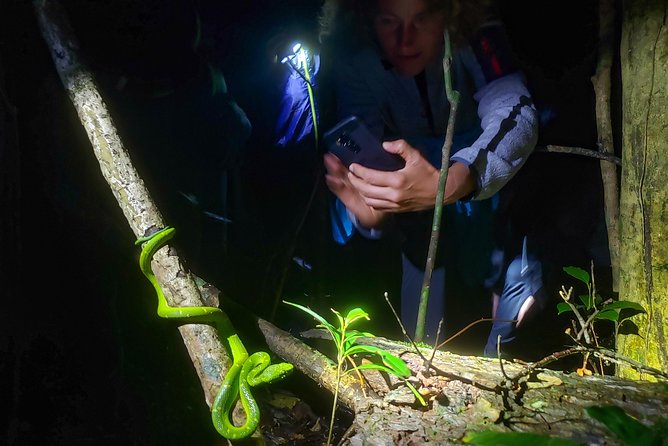 Package | Monteverde Cloud Forest + Curi-Cancha Reserve + Night Hike (Private) - Monteverde Cloud Forest Biological Reserve: Walking Among the Clouds