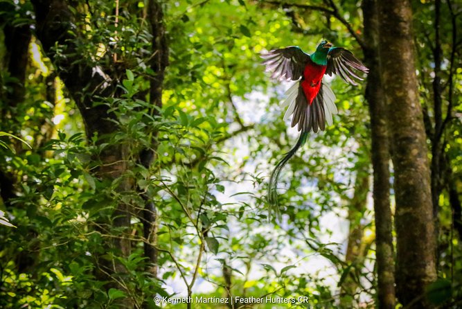 Package | Monteverde Cloud Forest + Curi-Cancha Reserve + Night Hike (Private) - The Real Money: What $80 Includes (and What You’ll Pay Separately)