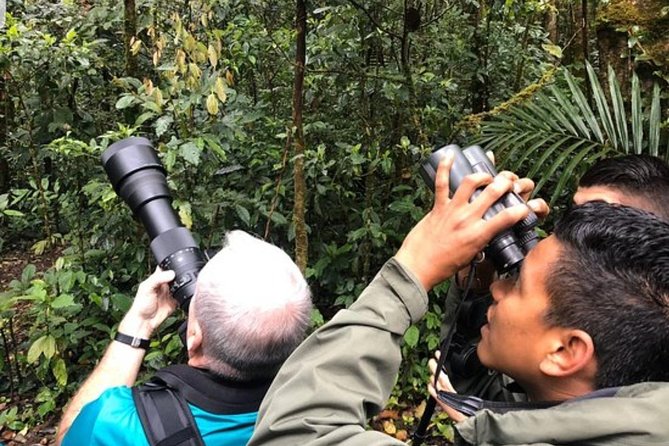 Package | Monteverde Cloud Forest + Curi-Cancha Reserve + Night Hike (Private) - Monteverde Wildlife Refuge Night Hike: Sloths and Other Weird Marvels