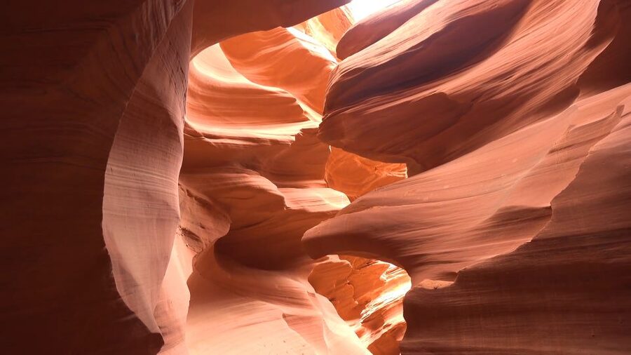 Page: Lower Antelope Canyon Ticket and Guided Hiking Tour - Pronghorn, desert details, and Navajo storytelling