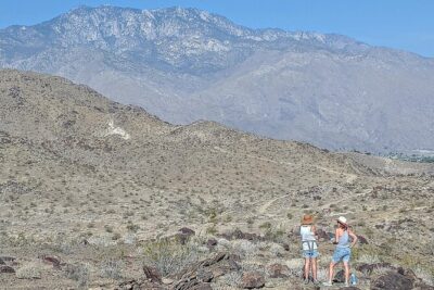 Palm Springs Hike to an Oasis and Amazing Desert Views - Where You Start: Frisky Business and a Smooth Launch