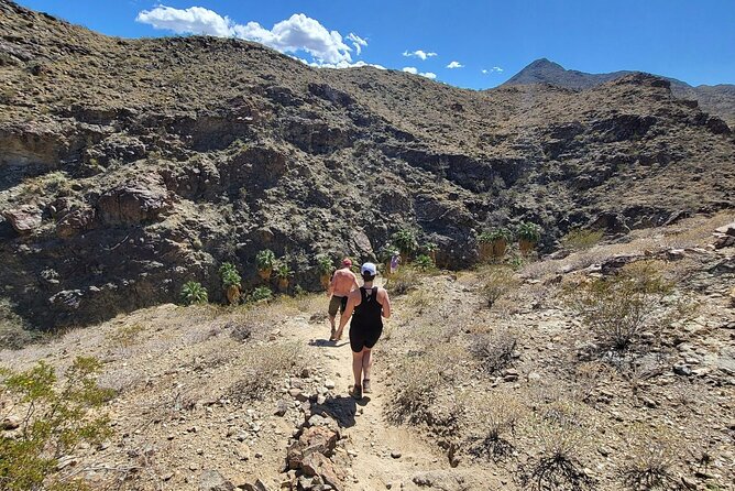 Palm Springs Hike to an Oasis and Amazing Desert Views - Coachella Valley Viewpoints and Mountain Lineup
