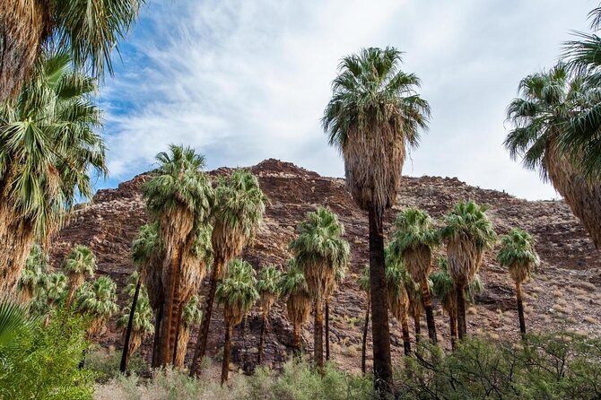 Palm Springs Indian Canyons Bike and Hike - Key things to know before you go
