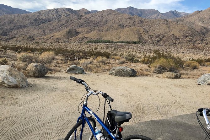 Palm Springs Indian Canyons Bike and Hike - Who should book this tour (and who might prefer another option)