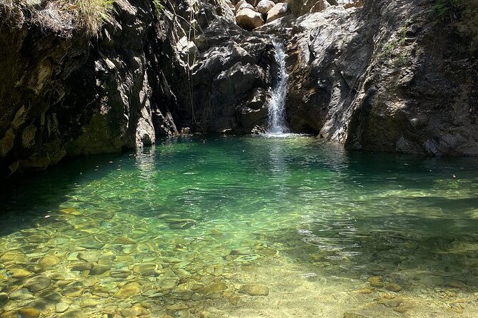 Palo María Waterfalls Hike Half-Day Tour - Curiel’s guiding style: safety, eco-spotting, and real terrain skills