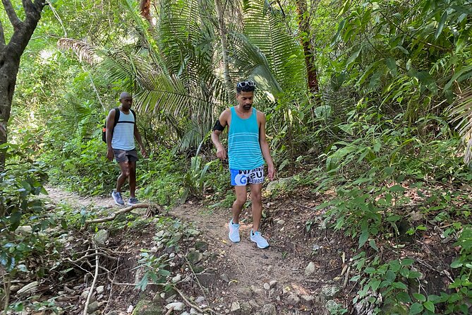 Palo María Waterfalls Hike Half-Day Tour - Should you book this tour? My practical take
