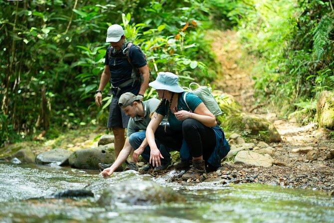 Pance Waterfalls: Hike to discover the biodiversity of the valley - A 7–8 hour break to Pance Waterfalls near Cali