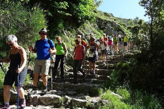Path of Gods Hike, with Food Experience at Shepherd's Hut - Positano from above: the viewpoint that makes it all connect