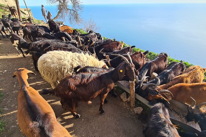 Path of Gods Hike, with Food Experience at Shepherd's Hut - Timing and pace: what to expect from a 9:30 am start