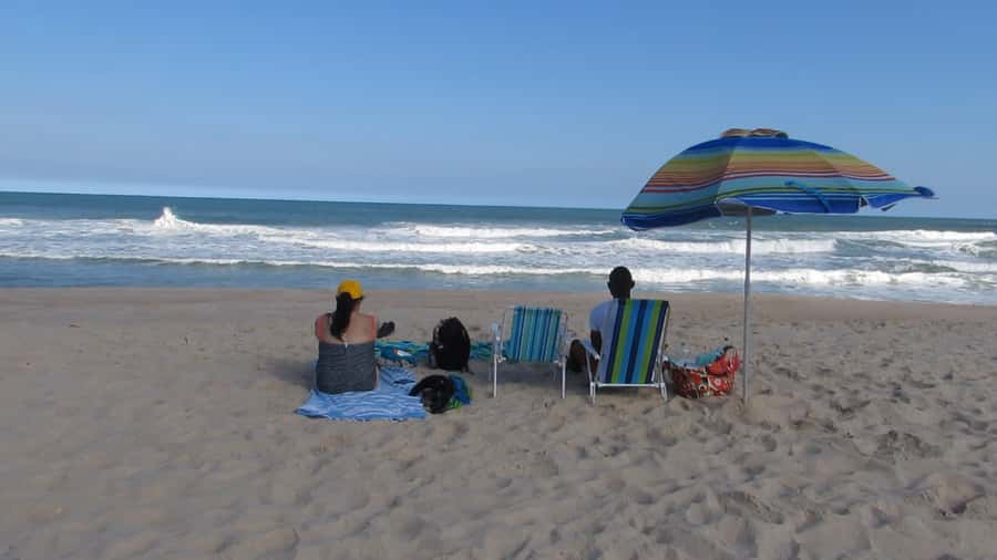 Pedra do Telégrafo Hike and Beach Full-Day Tour - What you pay for: $56, guide support, and the insurance piece