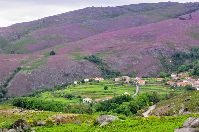 Peneda-Gerês Hiking & Sightseeing: Private Experience - Price and what makes it feel fair