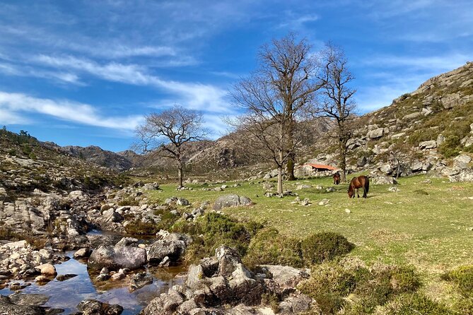Peneda-Gerês Hiking & Sightseeing: Private Experience - What to pack: the weather-proof part of the plan