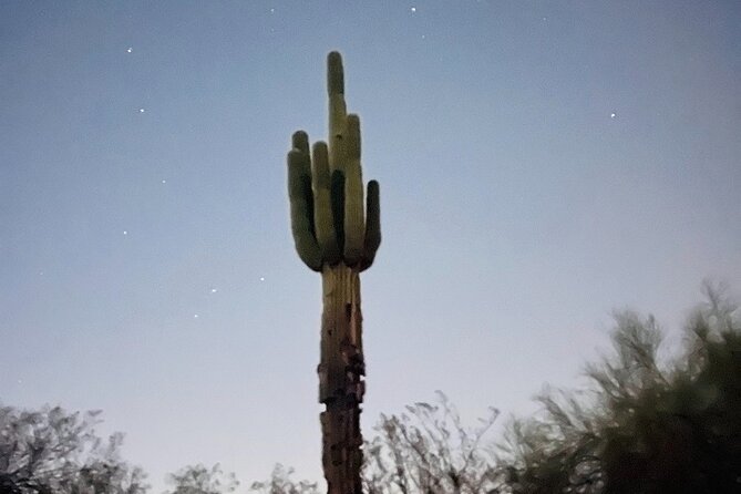 Phoenix Mountains Preserve Night Glow Hike - Key things to know before you go
