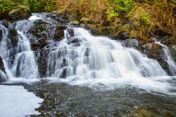 Photography, Hiking & Ferry to Bowen Island - Ferry-to-island days that don’t feel like a bus tour