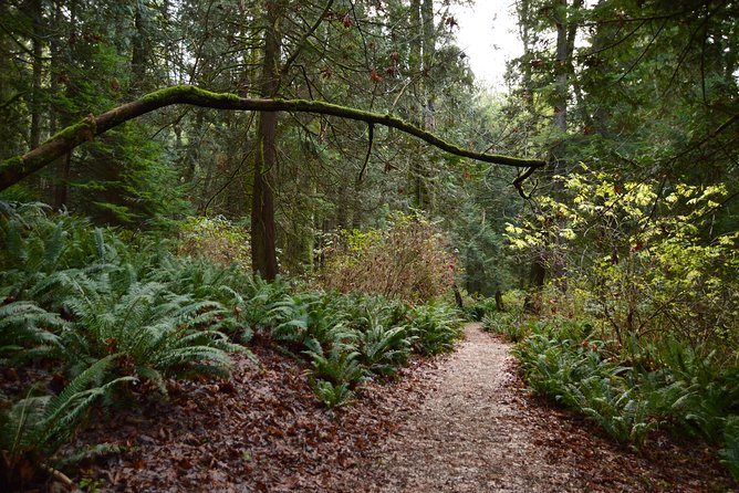 Photography, Hiking & Ferry to Bowen Island - DSLR borrowing with Nafees: coaching that sticks