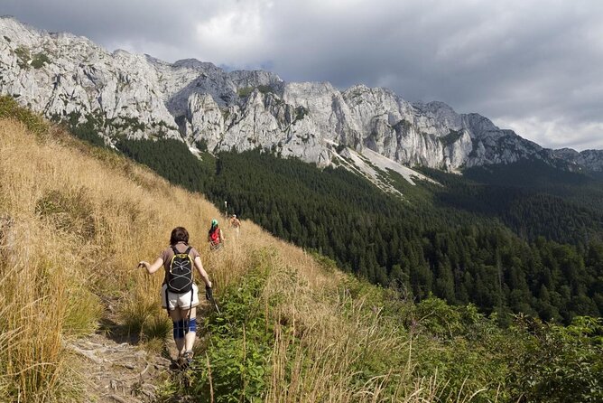 Piatra Craiului National Park Private Hiking Tour from Brasov - Key Highlights You’ll Care About