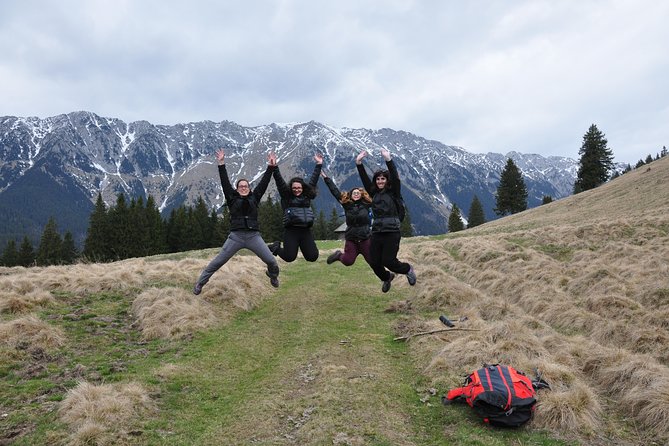 Piatra Craiului National Park Private Hiking Tour from Brasov - From Brasov to the Carpathians: Why This Day Feels Different