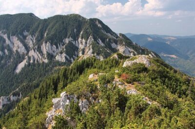 Piatra Craiului National Park Private Hiking Tour from Brasov - The 8:30 Start: Pickup, Drive, and How the Day Flows