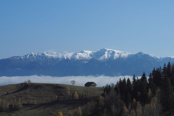 Piatra Craiului National Park Private Hiking Tour from Brasov - The Steep Parts: Cables, Scrambles, and How to Survive the Descent