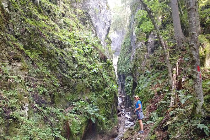 Piatra Craiului National Park Private Hiking Tour from Brasov - Bran Castle on the Way Back: A Fairytale Detour If You Have Time