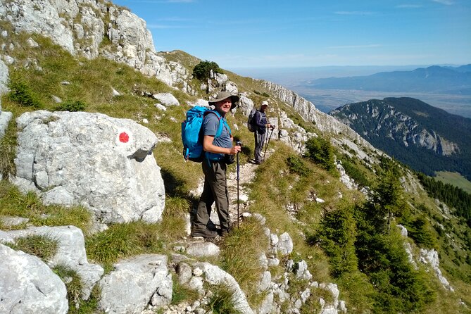 Piatra Craiului National Park Private Hiking Tour from Brasov - What to Pack (Seriously): Shoes, Warm Layers, and a Mask