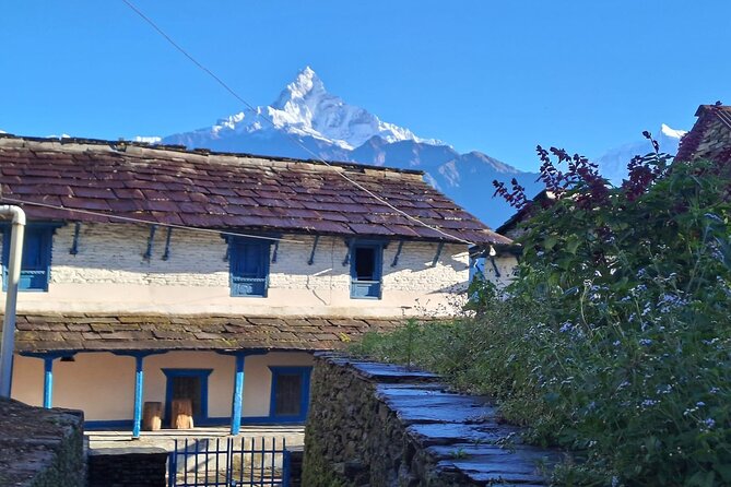 Pokhara: Easy Day Hike to Australian Camp & Dhampus Village - Guides make the day feel smoother: Bidur, Santosh, Sadichchha