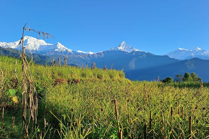 Pokhara: Easy Day Hike to Australian Camp & Dhampus Village - Pickup, tickets, and why the price can make sense