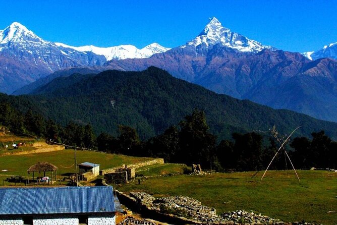 Pokhara: Easy Day Hike to Australian Camp & Dhampus Village - Australian Camp: the view moment, plus a real lunch break