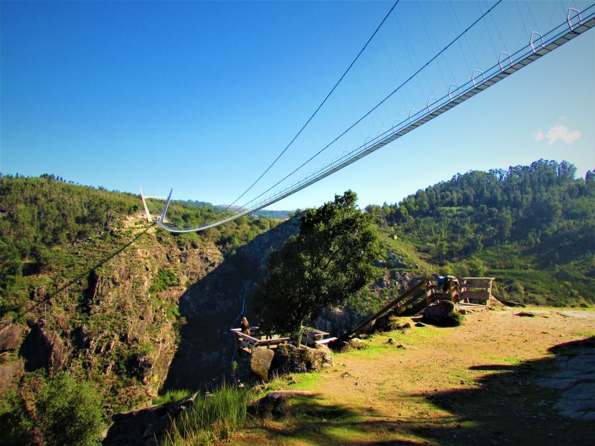 Porto: Paiva Walkways and Suspension Bridge Hike with Lunch - Should you book this Paiva Walkways and Suspension Bridge hike with lunch?