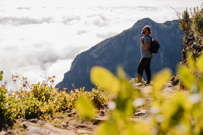 PR1 Sunrise Pico do Arieiro Self-Guided Hiking Transfer - Price and value: why this $39.92 setup feels fair