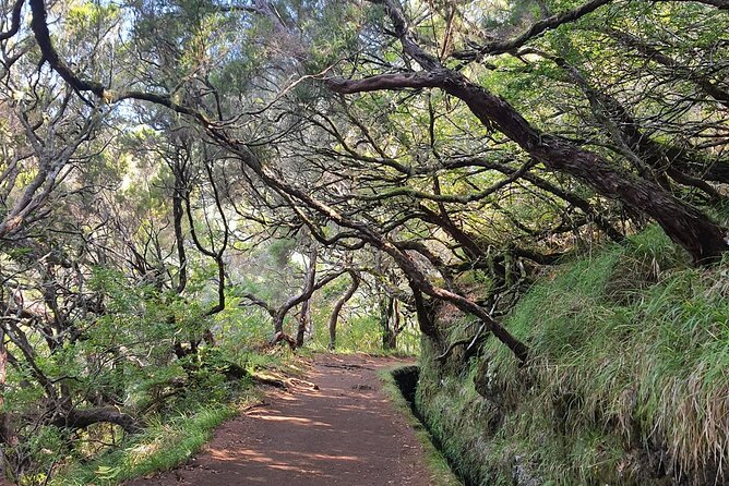 PR6 & PR6.1 25 Fontes & Risco Levada Self-Guided Hiking Rabaçal - Quick hits before you go