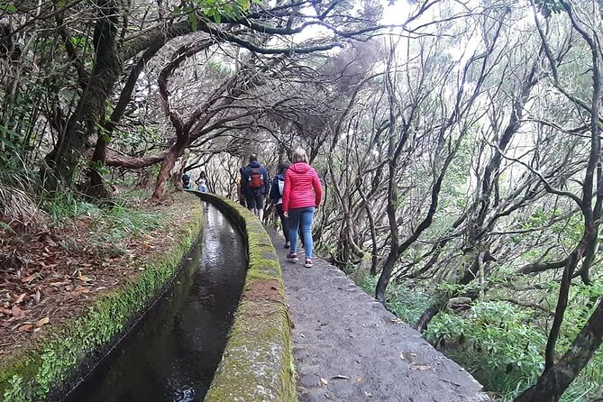 PR6 & PR6.1 25 Fontes & Risco Levada Self-Guided Hiking Rabaçal - Stop 1: 25 Fontes and Cascada da Risco—water, stairs, and that “first-hours quiet”