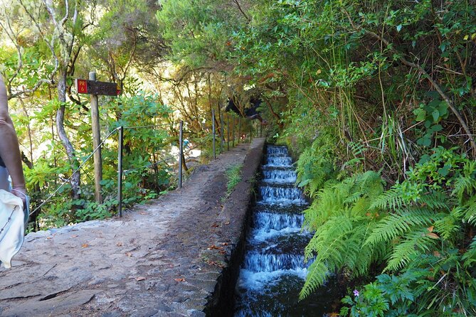 PR6 & PR6.1 25 Fontes & Risco Levada Self-Guided Hiking Rabaçal - Calheta and Ponta do Sol: how the transfer route adds value