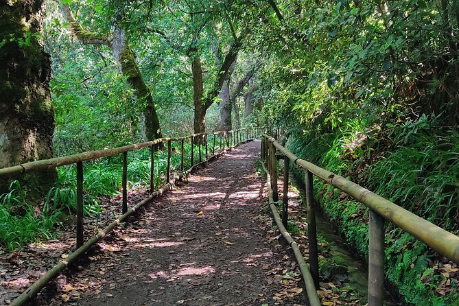 PR9 Caldeirão Verde Queimadas Levada Self-Guided Hiking Transfer - Key things I’d put on your radar