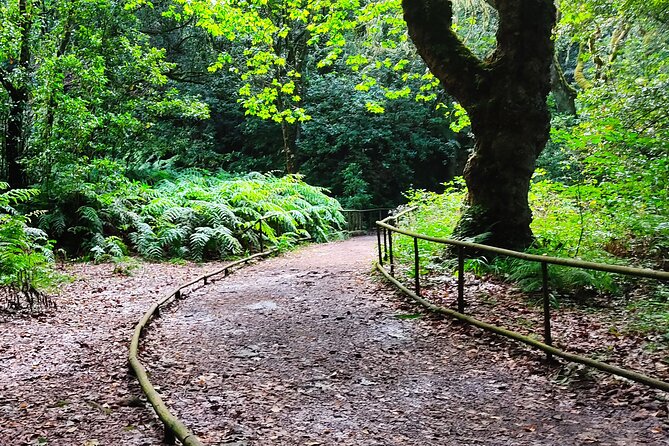 PR9 Caldeirão Verde Queimadas Levada Self-Guided Hiking Transfer - Transfer and timing: getting from Funchal to Queimadas without a headache