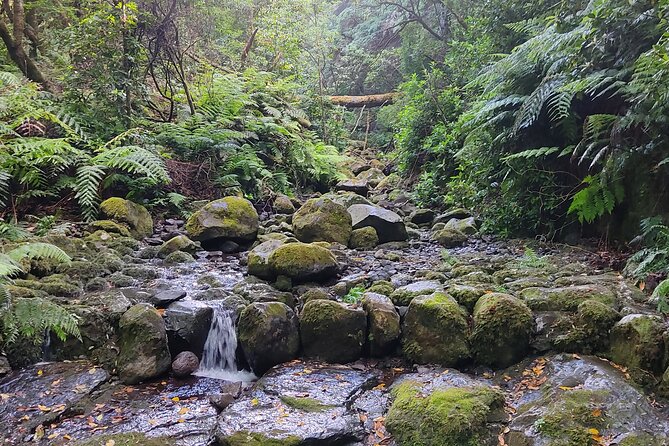 PR9 Caldeirão Verde Queimadas Levada Self-Guided Hiking Transfer - Stop 1: Funchal pickup zones and what you’re really doing there