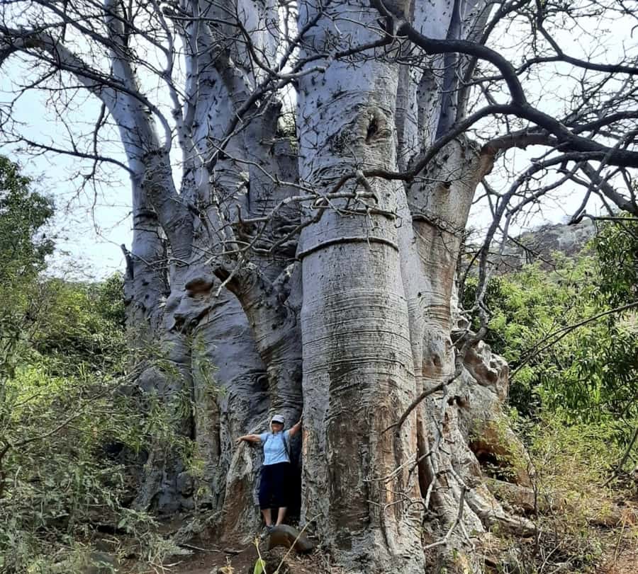 Praia: Baobab Mysterious Tree, Green Valley & Old City Hike - The Green Valley Part: Fruit Farms and Real Steps
