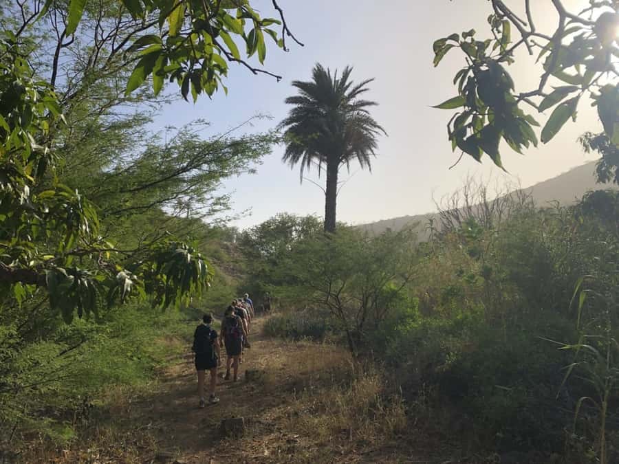 Praia: Baobab Mysterious Tree, Green Valley & Old City Hike - Grogue Stories, the Endemic Bird, and the Culture Bits You’ll Remember
