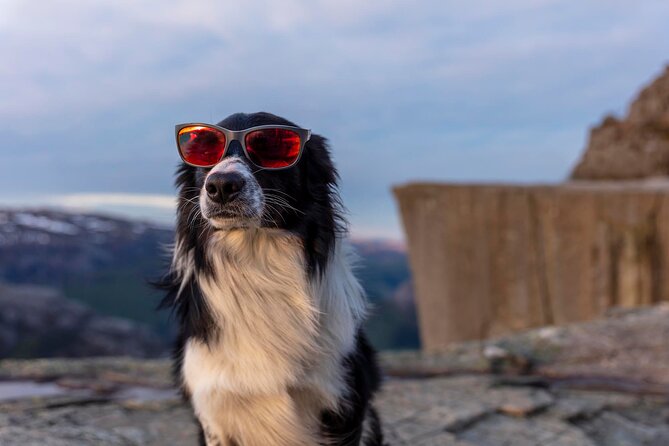Preikestolen Sunrise Hike And Breakfast Buffet - What You Should Bring (and What to Do with Cold-Dawn Reality)