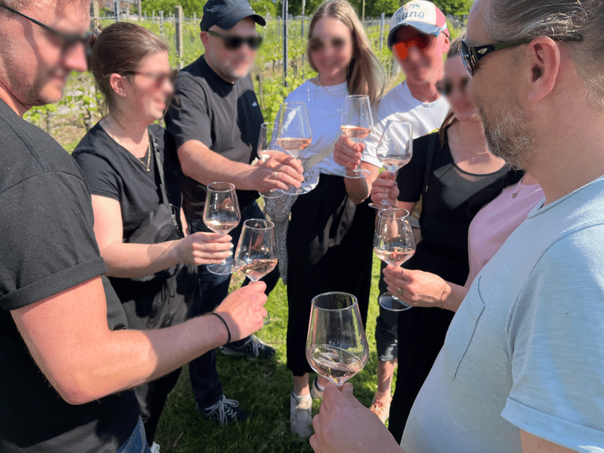 Premium wine hike Stuttgart with games and winemaker's snack - Entering the Stuttgart Vineyards With Built-In Fun