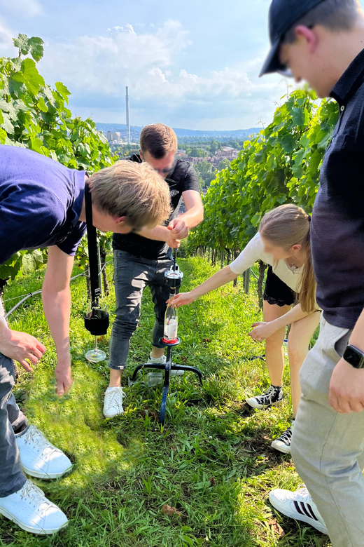 Premium wine hike Stuttgart with games and winemaker's snack - Weather, Fitness Level, and Comfort Details You’ll Thank Yourself For
