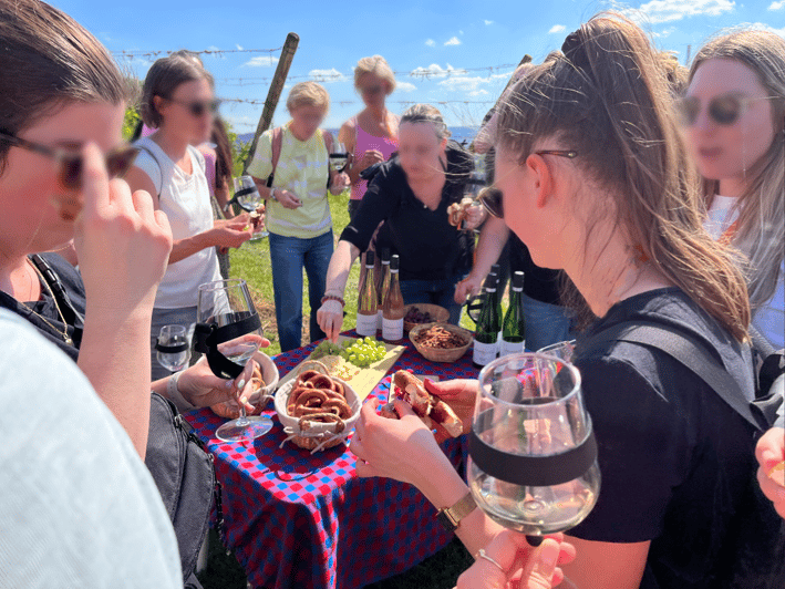 Premium wine hike Stuttgart with games and winemaker's snack - Booking Notes That Help You Get the Best Day