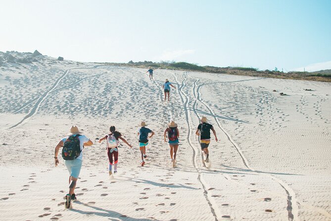 Private Aruba National Park Hiking & Natural Pool Swimming - Key highlights worth showing up for