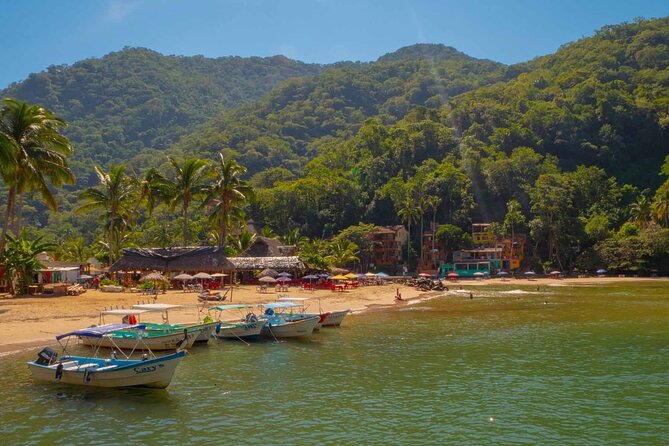 Private Boat Tour to Yelapa with Snorkeling and Waterfall Hike - A Private Yelapa Day for $220: What You’re Really Paying For