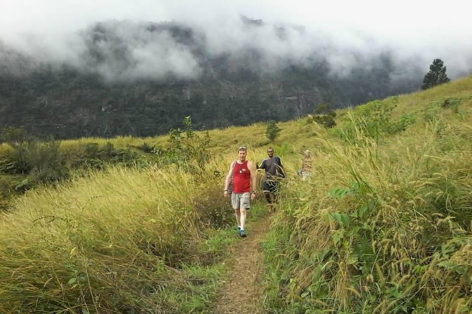 Private Breathtaking Koroyanitu Half Day Waterfall Hike - What You Get With a Private Guide in Koroyanitu