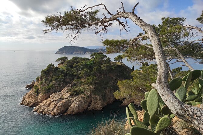 Private Costa Brava Hike and Snorkel from Barcelona with Lunch - Practical Tips to Make the Day Smooth