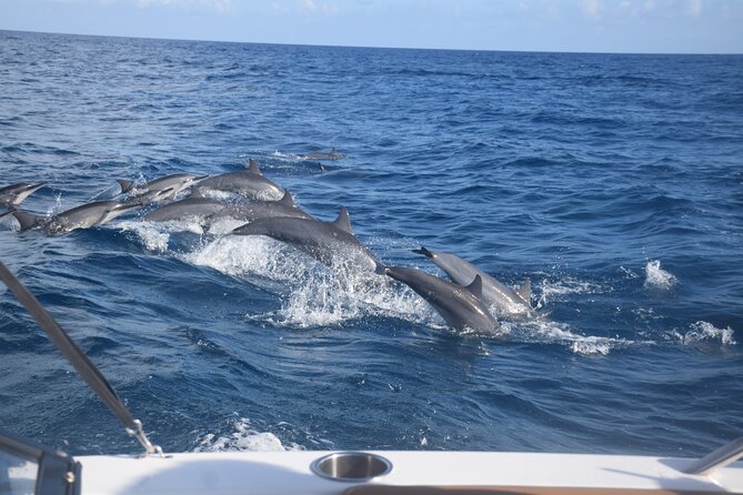 Private Day Trip Hike and Boat in Moorea - Stop 2: Opunohu Beach and your full local motu meal