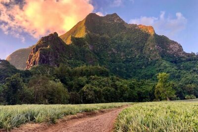 Private Day Trip Hike and Boat in Moorea - The 8:00 am start at Criobe Moorea (and why it matters)