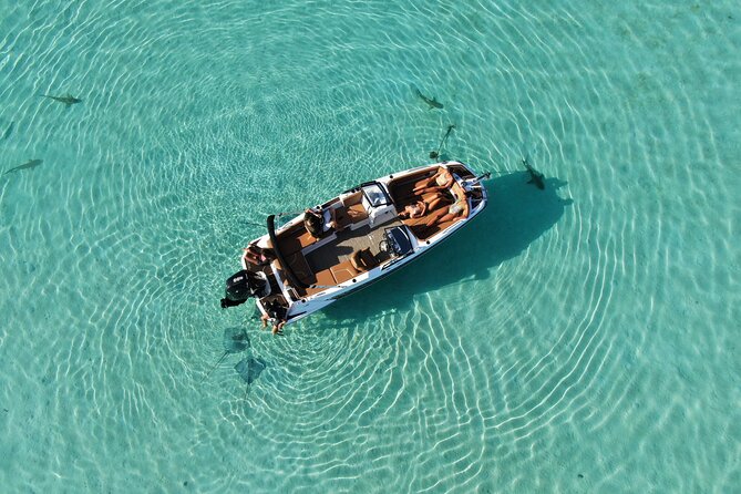 Private Day Trip Hike and Boat in Moorea - What the boat time feels like in practice